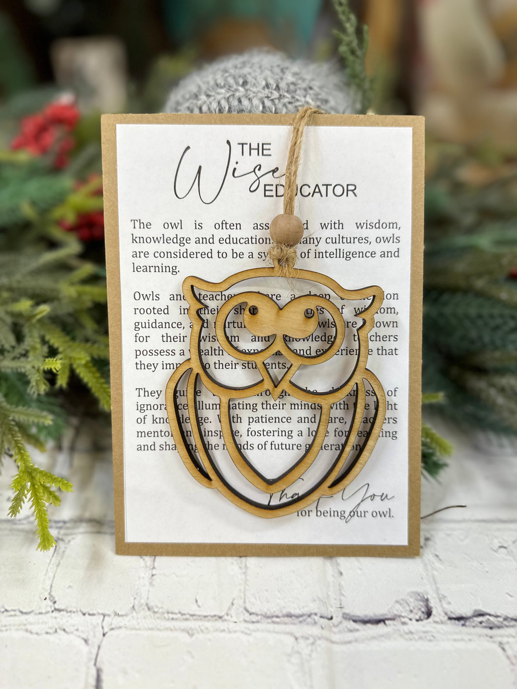 The Wise Educator Owl Ornament